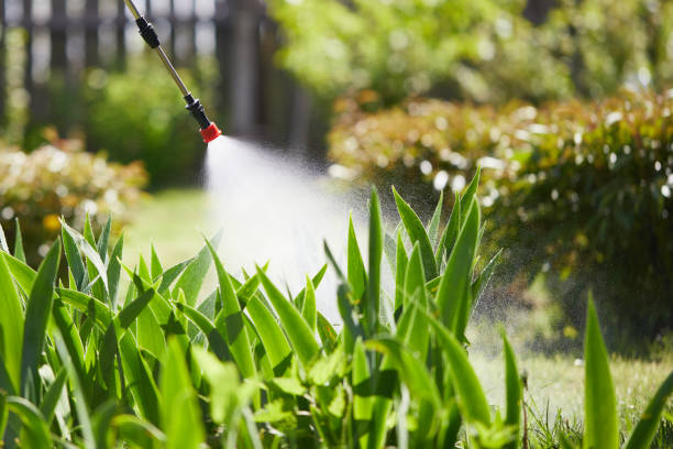 Tamper-Resistant Bait Stations for Rodents in Cameron Park