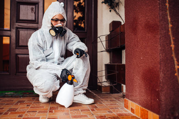 Attic and Crawl Space Rodent Treatment in Cameron Park